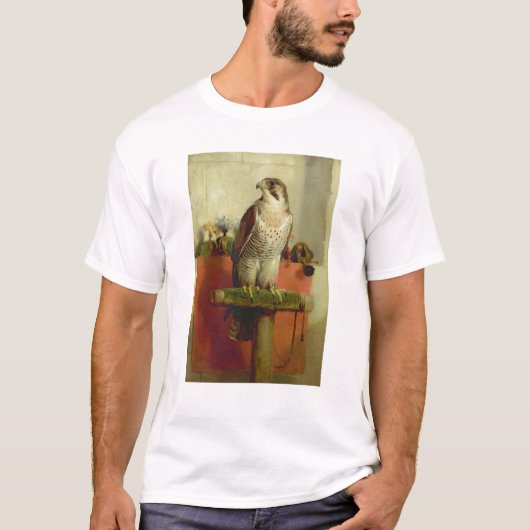 Falke, 1837 T-Shirt (Vorderseite)