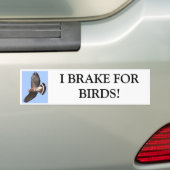 Falke, BREMSE ICH FORBIRDS! Autoaufkleber (Auf Auto)