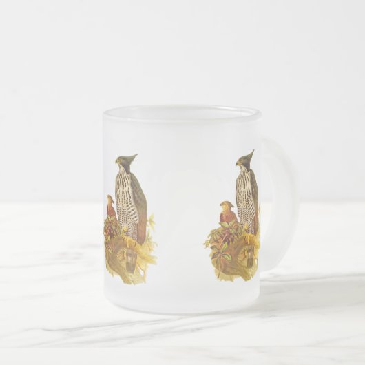 Falke Eagle Mattglastasse (VorderseiteRechts)