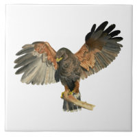 Falke-Flattern Wings Aquarell-Malerei