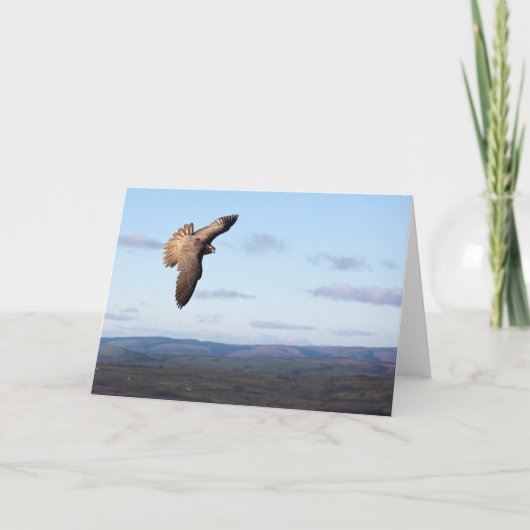 Falke-Flug Karte (Vorderseite)