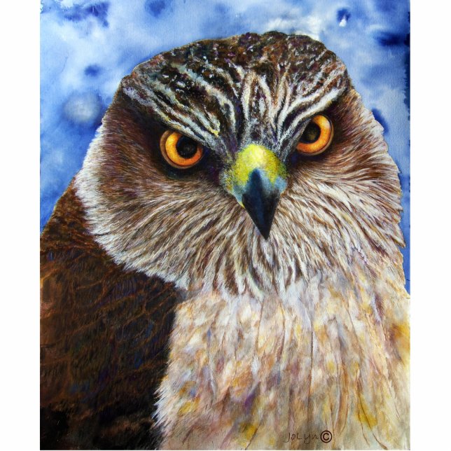 Falke-Foto-Skulptur Freistehende Fotoskulptur (Vorne)