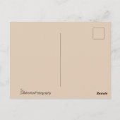 Falke in Profil Postkarte (Rückseite)