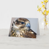 Falke Nah Karte (Gelbe Blume)