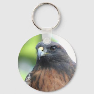 Falke-Schlüsselanhänger Schlüsselanhänger