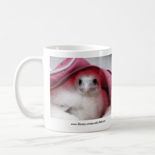 Falke-Tasse Kaffeetasse (Links)