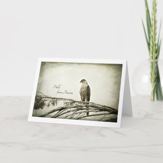 Falke, Vintage Art, leeres notecard Karte (Vorderseite)