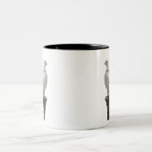 Falke  zweifarbige tasse (Mittel)