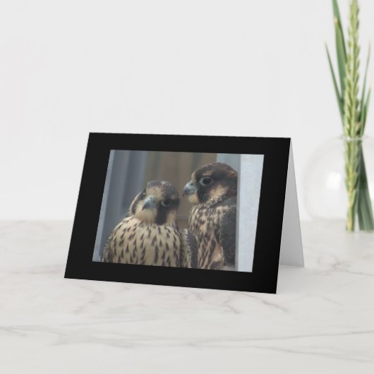 Falkeanmerkungskarte Karte (Vorderseite)