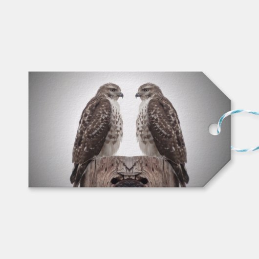 Falken auf einem Posten Geschenkanhänger (Vorderseite (Horizontal))