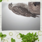 Falken auf einem Posten Handtuch (Gefaltet)