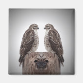 Falken auf einem Posten Magnet (Vorne)