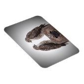 Falken auf einem Posten Magnet (Rechte Seite)