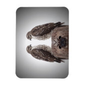 Falken auf einem Posten Magnet (Vertikal)