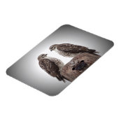 Falken auf einem Posten Magnet (Linke Seite)