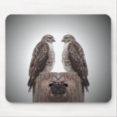 Falken auf einem Posten Mousepad (Vorne)