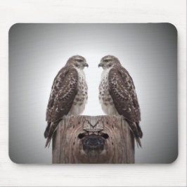 Falken auf einem Posten Mousepad
