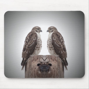 Falken auf einem Posten Mousepad
