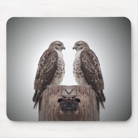 Falken auf einem Posten Mousepad (Vorne)