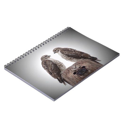 Falken auf einem Posten Notizblock (Linke Seite)