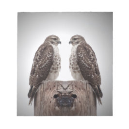 Falken auf einem Posten Notizblock