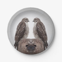 Falken auf einem Posten