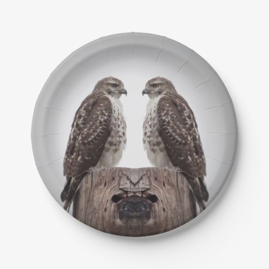 Falken auf einem Posten Pappteller (Vorderseite)