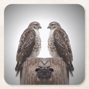 Falken auf einem Posten Rechteckiger Pappuntersetzer