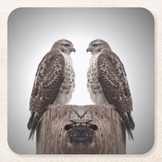 Falken auf einem Posten Rechteckiger Pappuntersetzer (Vorderseite)