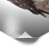 Falken auf Posten Fotodruck (Ecke)