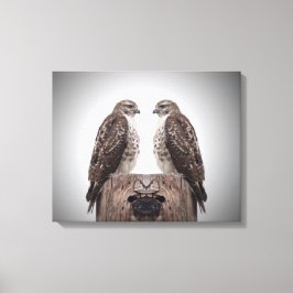 Falken auf Posten Leinwanddruck