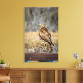 Falkenauge 2 leinwanddruck (Insitu (Wohnzimmer))