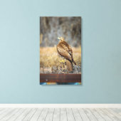 Falkenauge 2 leinwanddruck (Insitu (Holzboden))