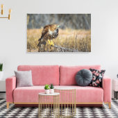 Falkenhaut Leinwanddruck (Insitu (Wohnzimmer))