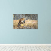 Falkenhaut Leinwanddruck (Insitu (Holzboden))