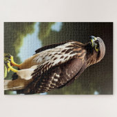 Falkenkunst Puzzle (Horizontal)