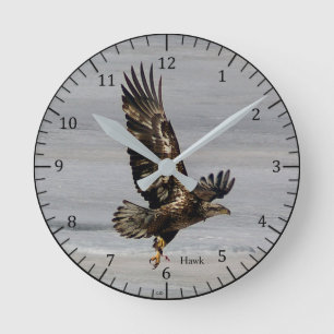 Falkeuhr Runde Wanduhr