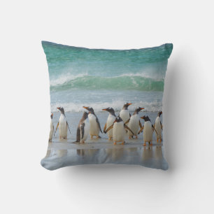 Falkland-Inseln. Saunders-Insel. Gentoo Kissen
