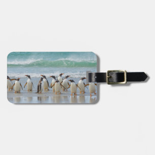 Falkland-Inseln. Saunders Island. Gentoo Gepäckanhänger