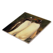 Falklandinseln Gentoo Pinguine. (Pyroscelis Fliese (Seite)