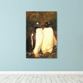 Falklandinseln Gentoo Pinguine. (Pyroscelis Leinwanddruck (Insitu (Holzboden))