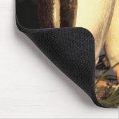 Falklandinseln Gentoo Pinguine. (Pyroscelis Mousepad (Ecke)