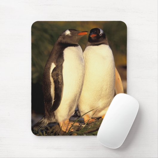 Falklandinseln Gentoo Pinguine. (Pyroscelis Mousepad (Mit Mouse)