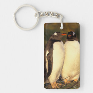 Falklandinseln Gentoo Pinguine. (Pyroscelis Schlüsselanhänger