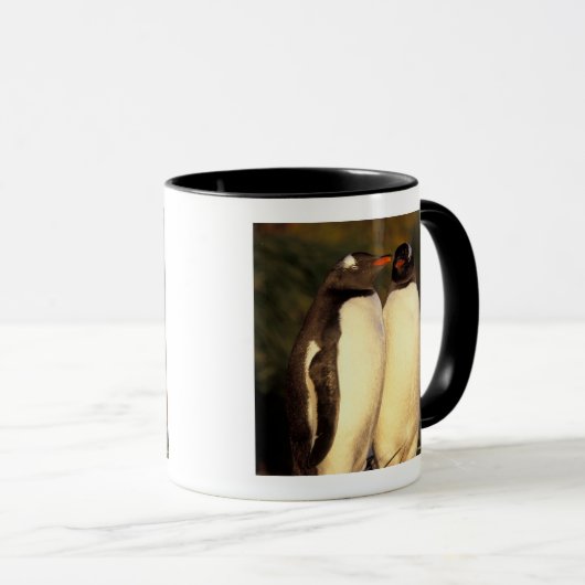 Falklandinseln Gentoo Pinguine. (Pyroscelis Tasse (VorderseiteRechts)
