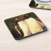 Falklandinseln Gentoo Pinguine. (Pyroscelis Untersetzer (Linke Seite)