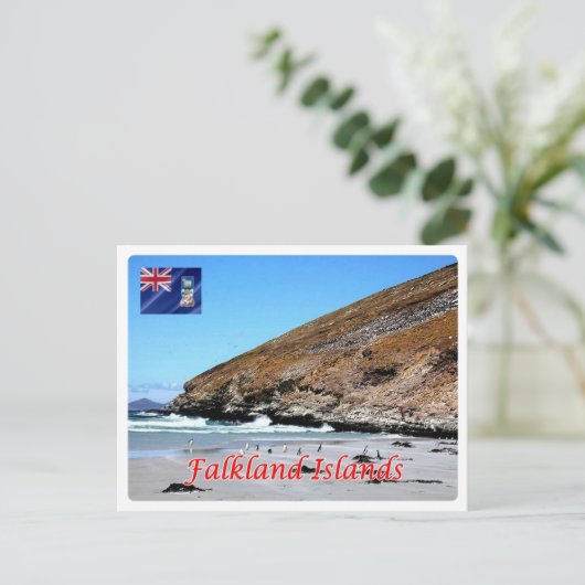 Falklandinseln - postkarte (Stehend Vorderseite)