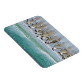 Falklandinseln. Saunders Island. Gentoo Magnet (Rechte Seite)