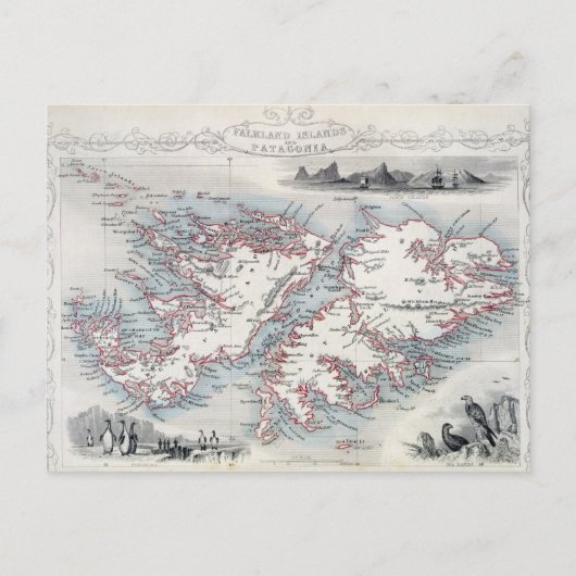 Falklandinseln und Patagonien, aus einer Reihe von Postkarte (Vorderseite)