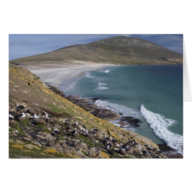 Falklandinseln, West Falkland, Saunders (Vorderseite (Horizontal))